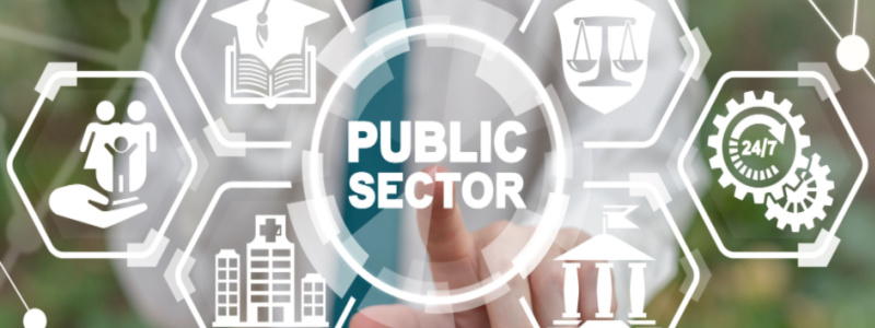 Infographic with public sector written in the middle and related icons around it