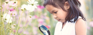 Cute asian little child girl looking beautiful flower through a magnifying glass in the cosmos flower field in summer time